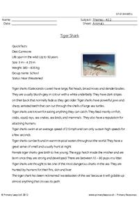 Reading comprehension - Tiger shark